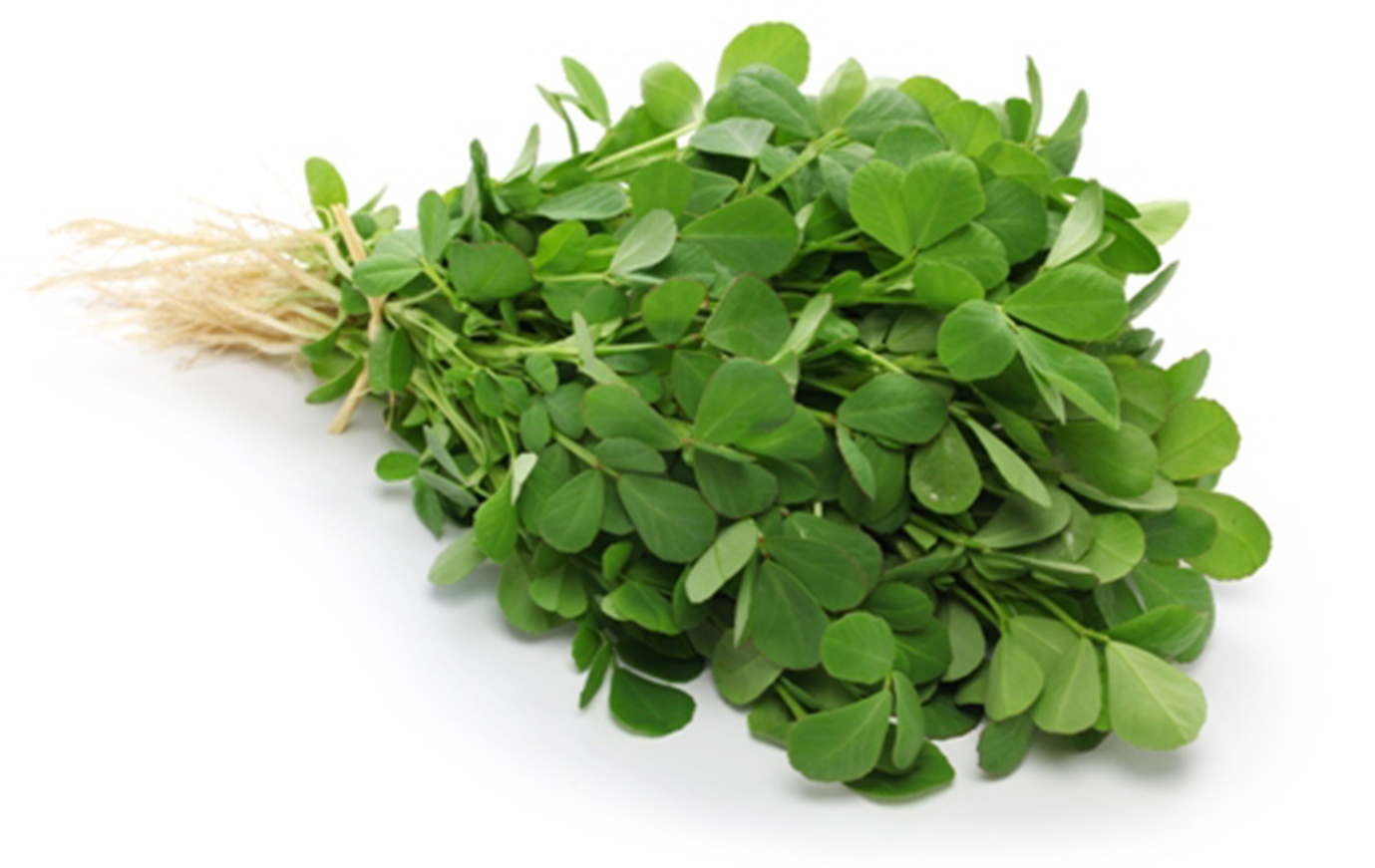 Fenugreek (Saponins)