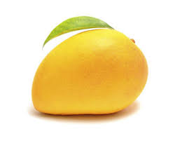 Mango Fruit Powder